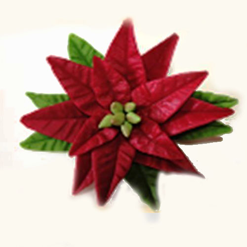 Зимова квітка