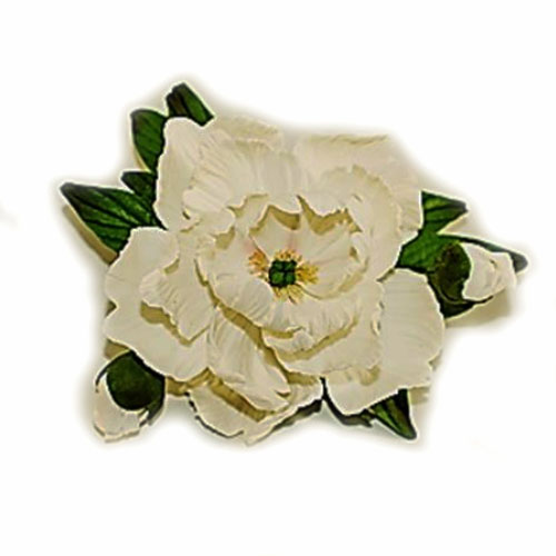 Піон D=100 мм з бутонами