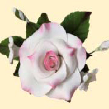 Букет троянд №4 тонований рожевий (14уп/ящ) бл ШК