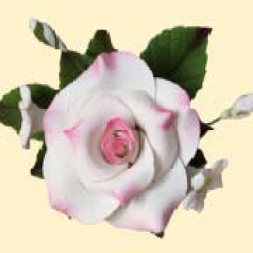 Букет троянд №4 тонований рожевий (14уп/ящ) бл ШК