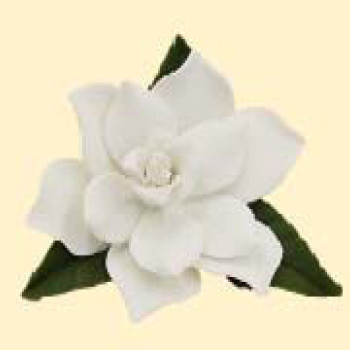 Гарденія з листочками / 14шт