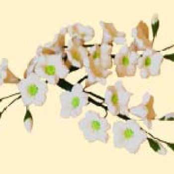 Гілочка дзвіночків білих L = 120 (3шт) / 20шт