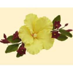 Букет гібіскуса №1 лимонного зі стефанотісами / 8шт