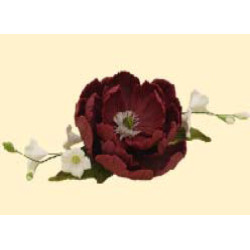 Букет піона  бордового з дзвониками /8шт