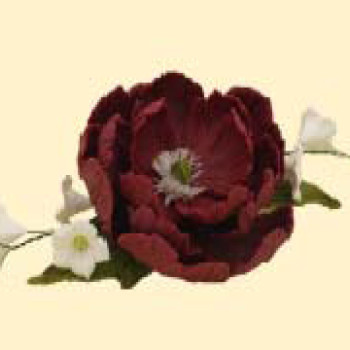 Букет піона  бордового з дзвониками /8шт