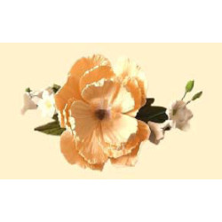 Букет піона ванільного з дзвониками /8шт