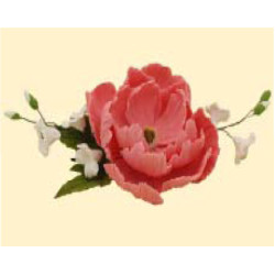 Букет піона рожевого з дзвониками /8шт