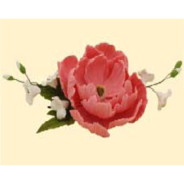 Букет піона рожевого з дзвониками /8шт