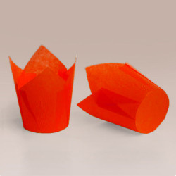 ТЛ-160 (50 * 65/90) ТЛ-160 (50 * 65/90)