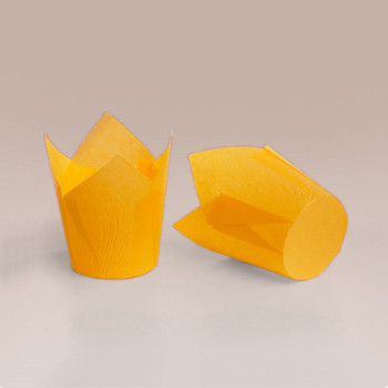 ТЛ-150 (50 * 60/80) 