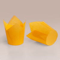 ТЛ-160 (50 * 65/90) ТЛ-160 (50 * 65/90)