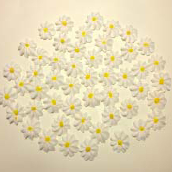 Набір кондитерських цукрових прикрас 