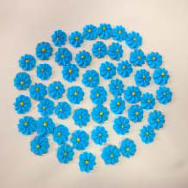 Набір кондитерських цукрових прикрас 