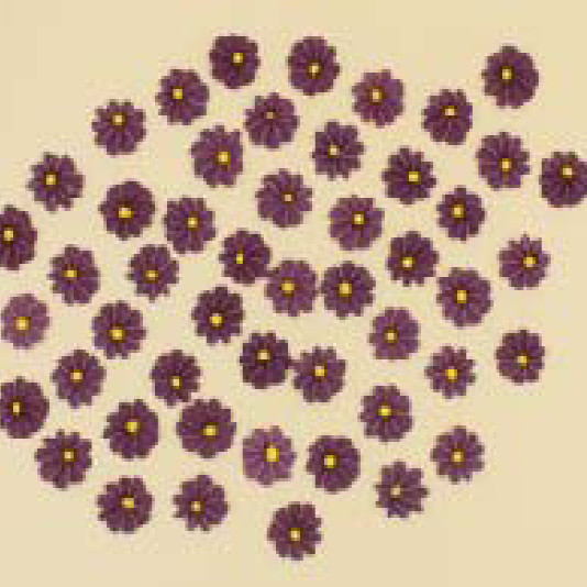 Набір кондитерських цукрових прикрас 