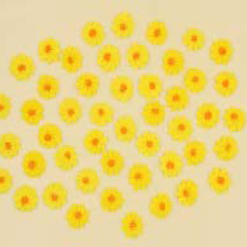 Набір кондитерських цукрових прикрас 