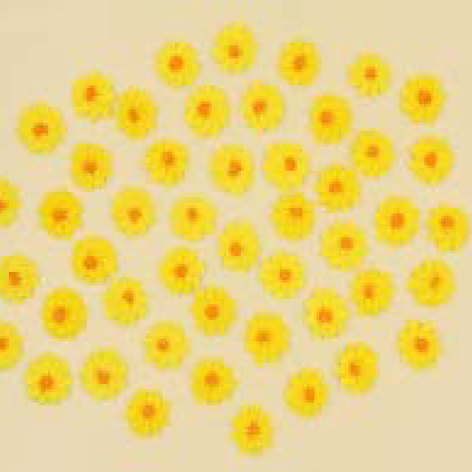 Набір кондитерських цукрових прикрас 