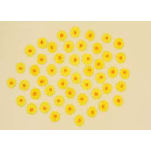 Набір кондитерських цукровх прикрас  