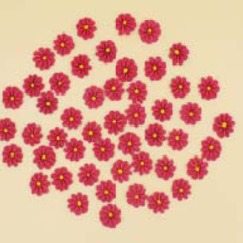 Набір кондитерських цукрових прикрас 