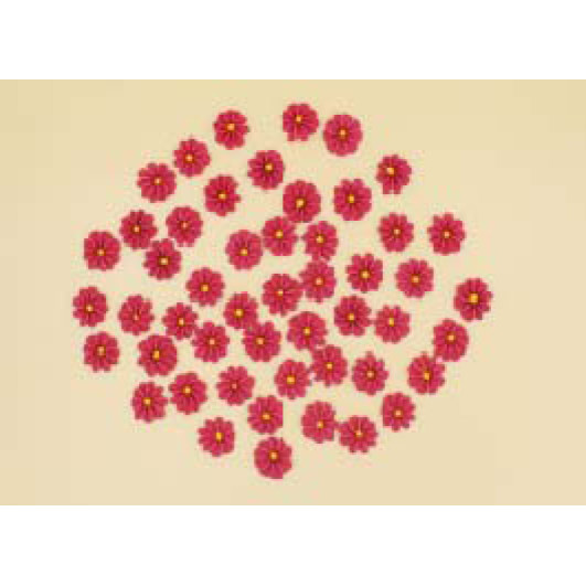 Набір кондитерських цукровх прикрас  