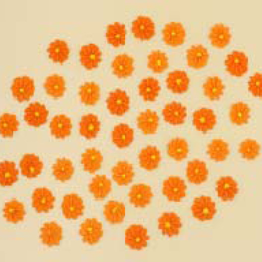 Набір кондитерських цукрових прикрас 