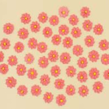 Набір кондитерських цукрових прикрас 