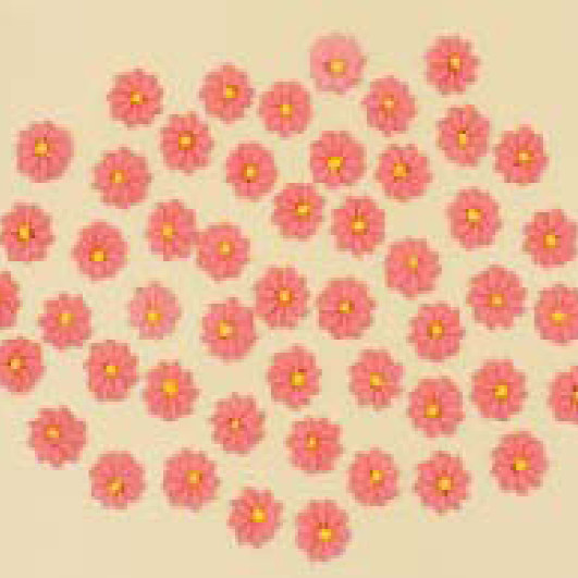 Набір кондитерських цукрових прикрас 