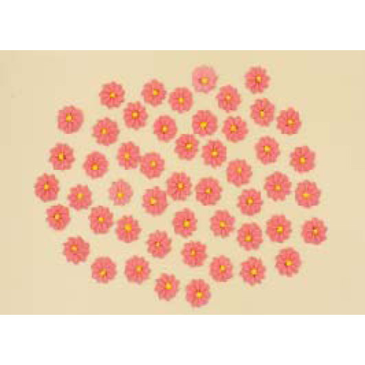 Набір кондитерських цукровх прикрас  