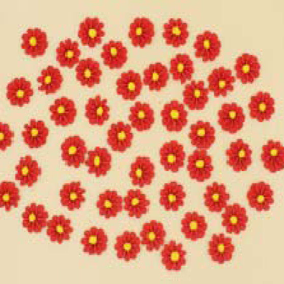 Набір кондитерських цукрових прикрас 