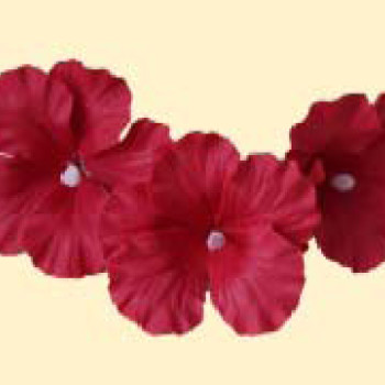 Набір гібіскусів темно-червоних D=100мм (3шт/6уп/ящ)