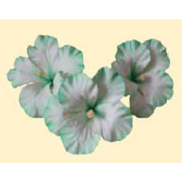 Набір гібіскусів тонованих салатових D=100мм  (3шт/6уп/ящ)
