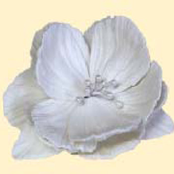 Кондитерська цукрова прикраса 