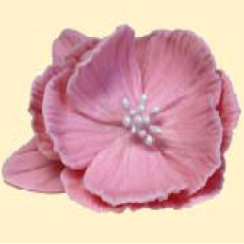 Кондитерська цукрова прикраса 