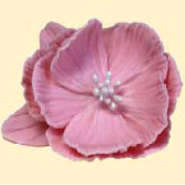 Кондитерська цукрова прикраса 