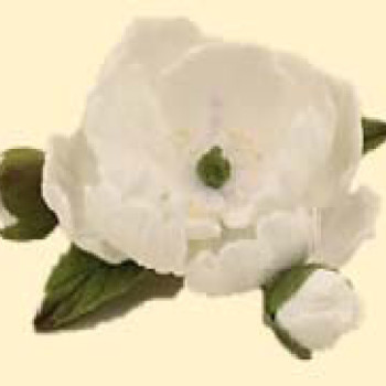 Кондитерська цукрова прикраса 