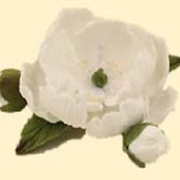 Кондитерська цукрова прикраса 