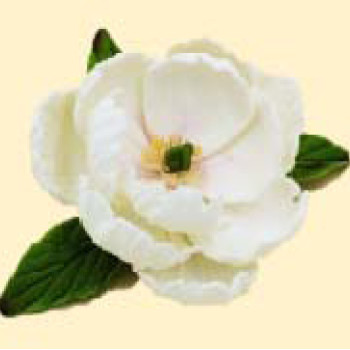 Піон білий D=90 з листочками /8шт