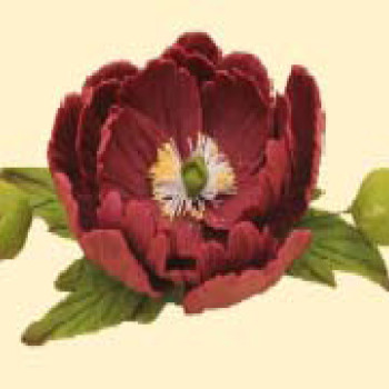 Кондитерська цукрова прикраса 