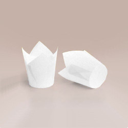 ТЛ-140 (50 * 50/75) ТЛ-140 (50 * 50/75)