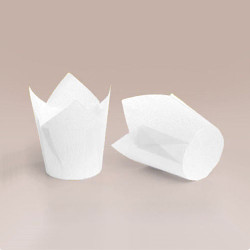 ТЛ-150 (50 * 60/80) ТЛ-150 (50 * 60/80)