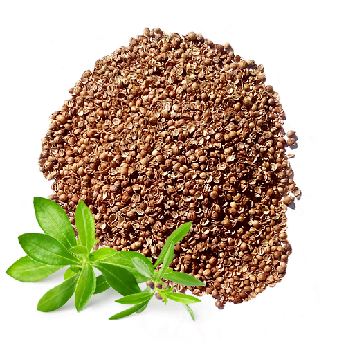 Коріандр половинки (ваговий)