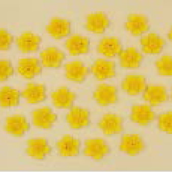 Набір кондитерських цукрових прикрас 