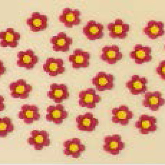 Набір кондитерських цукрових прикрас 