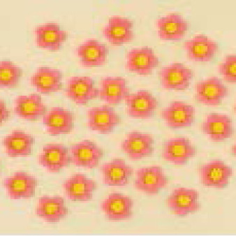 Набір кондитерських цукрових прикрас 