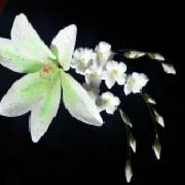 Кондитерська цукрова прикраса 