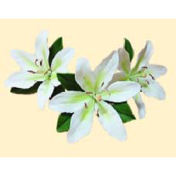 Лілія тонована салатова L=60мм з листочками (3шт/8уп/яш) бл