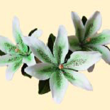 Лілія тонована салатова L=80 з листочками (3шт/6уп/ящ) бл