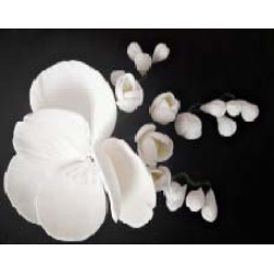 Магнолія біла із фрезіями/ 8шт