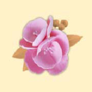 Кондитерська цукрова прикраса 