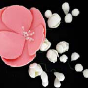 Магнолія рожева із фрезіями  (6уп/ящ) бл