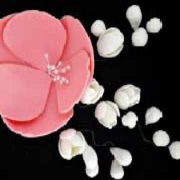 Магнолія рожева із фрезіями  (6уп/ящ) бл